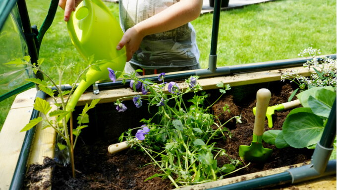 Roligt och lärorikt: en grönsaksträdgård för barn
