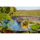 EXIT Black Leather pool ø427x122cm med sandfilterpump - svart